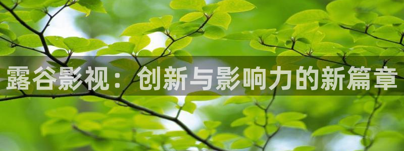 西安红叶影城：露谷影视：创新与影响力的新篇章
