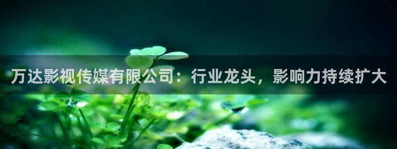 红叶影院app：万达影视传媒有限公司：行业龙头，影响力持续扩大