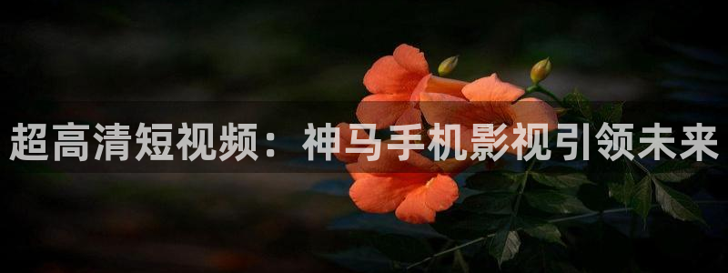六安红叶影城今日影讯：超高清短视频：神马手机影视引领未来