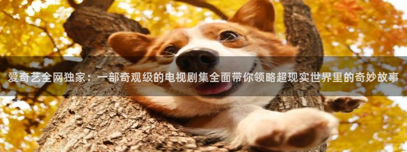 六安红叶电影院今日影讯：爱奇艺全网独家：一部奇观级的电视剧集全面带你领略超现实世界里的奇妙故事