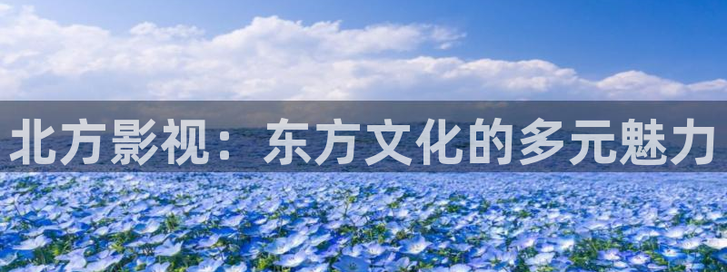 红叶影城电影：北方影视：东方文化的多元魅力