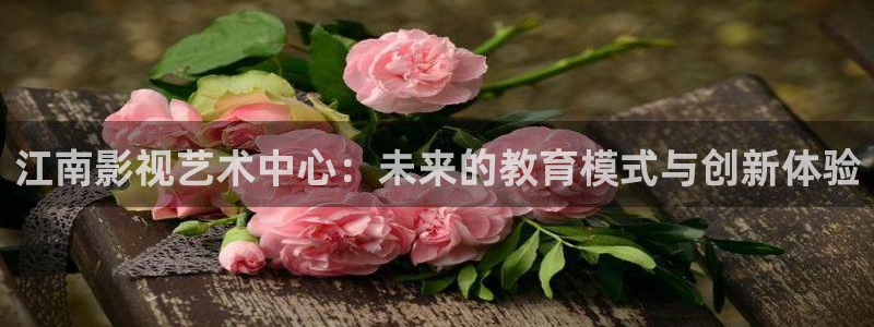 红叶影院免费观看电视剧：江南影视艺术中心：未来的教育模式与创新体验