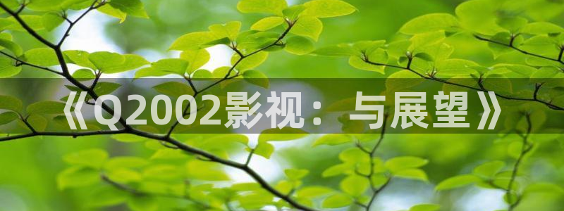 红叶影视官网：《Q2002影视：与展望》