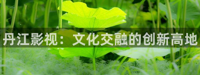 红叶影院免费观看电视剧：丹江影视：文化交融的创新高地