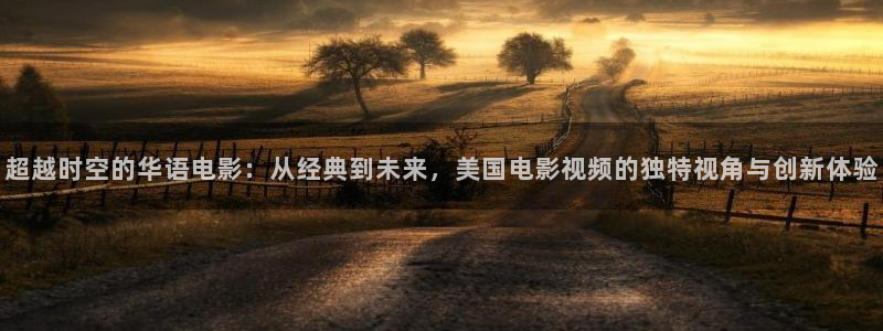 六安红叶影城电影：超越时空的华语电影：从经典到未来，美国电影视频的独特视角与创新体验