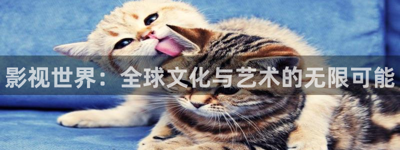 六安红叶影城今日电影：影视世界：全球文化与艺术的无限可能